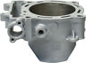 10010 Cylinder Works Standard Bore