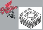 12100-446-772 200 94-01 Jug Oem Cylinder Genuine Std Honda Xr200r Xr