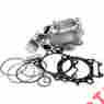 41001-k01 434cc Cylinder Works Big Bore Kit