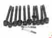 90007-mbw-000 Honda Cylinder Head Bolts 2005 Cbr600 F4i