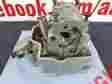 12010-men-a31 Crf450r Honda 2009 2012 Cylinder Head Assembly Ported Oem Crf Crf450 288