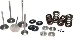 Kt9013 Ferrea Dual Valve Spring Kit For 1999-2000 Suzuki Gsx 1300r Hayabusa - Part