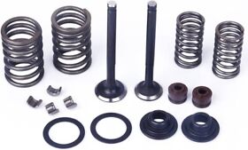 Gy6 50cc 139qmb Engine Intake And Exhaust Valves Rebuilt Kit Valve Length 69mm