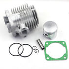 Jr541-44 Wingsmoto 49cc 44mm Cylinder 737123256686