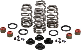 0wucdrx39z Kpmi Intake Exhaust Valve Spring Kit .660in Lift With Seal Fatboy 2005-2017