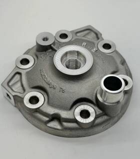 55630006100 Ktm 2019-2022 300 Sx Oem Cylinder Head