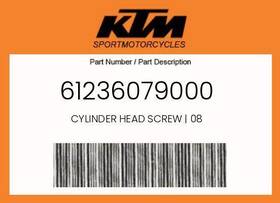 61236079000 Ktm Genuine Cylinder Head Screw 08 -