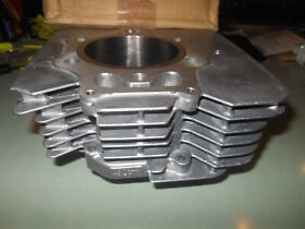 12100-hn0-a00 New Oem Honda Trx450 Cylinder #