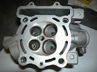 Pmpk-k17250 Proven Moto Performance New Cylinder Head Kawasaki Pro Circuit Copper