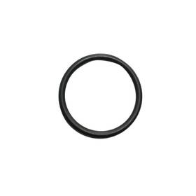 0453563 Polaris 453563 - Engine Cylinder Head O-ring