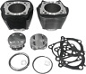 Rp201-606w Revolution Performance Llc Cylinder Kit