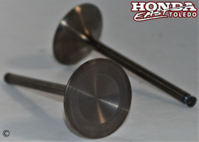 Suzuki Oem Intake Valve Set 2006-2011 Ltr450 06-11 Ltr 450 Ltr450z