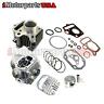 Tp-02xxx Fancy Scooters Honda Cylinder Rebuild Engine Kit New