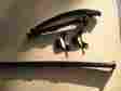 Vmx1200-vmax Yamaha 2005 Limited Edition Cam Chain Guides For Front Cylinder