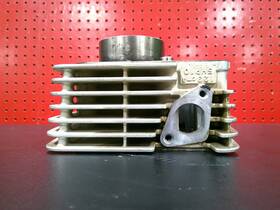 5hh-1310-10-0 Yamaha 2006 Ttr125e Oem Engine Motor Cylinder Bore Jug