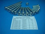 Engine Cover Bolts Yamaha Enduro AT1 CT1 69-71 Jis Phillips Original Style. Fixed Price $12.99.