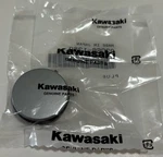 Kawasaki Genuine Oem Authentic Plug 92066-1289. Fixed Price $20.00.