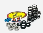 18-24 Honda Kibblewhite Race Head Titanium Valves Springs Kit. Fixed Price $185.17.