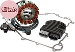 Stator Coil + Voltage Regulator Gasket Assy For Kawasaki KRT800 TERYX4 2014-20. Fixed Price $198.27.