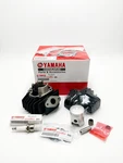 New 1981-2020 Genuine Oem Yamaha PW50 Top End Kit W/ Cylinder Us. Fixed Price $138.68.