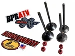 09-16 Kawasaki Oem Head Kibblewhite Intake Exhaust Valves & Seals. Fixed Price $134.98.