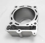 Kawasaki KX450 Genuine Oem Engine Cylinder 11005-0777 Replaces 11005-0721 Japan. Fixed Price $312.00.