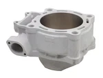 Namura CX-10001 Cylinder Only For Automotive Engines. Fixed Price $300.28.