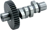 & Cycle H-grind Camshaft 330-0170. Fixed Price $250.83.