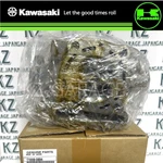 Kawasaki Genuine 2017 KX250F Head Comp Cylinder 11008-0894 New. Fixed Price $515.83.
