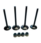 Intake, Exhaust With Seals Fit Kawasaki 12004-0733, 12005-0777. Fixed Price $99.95.