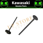 Kawasaki Genuine Oem Part 12004-0760 /12005-0780 Intake And Exhaust Valve Set. Fixed Price $143.49.