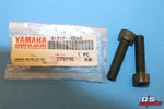 Nos Yamaha Frame Bolt Qty 1996-2001 XVZ1300 YZF750 Part# 91317-10040. Fixed Price $9.95.