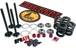 Honda Kibblewhite Head Intake & Exhaust Valves Seals Springs. Fixed Price $292.06.