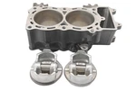 08 Kawasaki Versys Cylinder & Pistons KLE650A. Fixed Price $699.98.