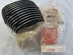 03-09 Honda Vtx 12271-MEA-670 Cylinder Head Fin Cover New Oem. Fixed Price $59.88.