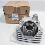 Fits For Kawasaki Klx 140 150 Cylinder Head New Genuine Indonesia 11002-0098. Fixed Price $190.00.