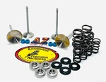 Suzuki Sm Kibblewhite +1 Intake Exhaust Valves Springs. Fixed Price $241.10.