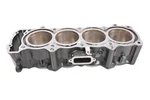 20 Kawasaki Z900 Cylinder ZR900 Abs. Fixed Price $499.99.