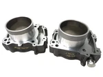2017 Indian Scout Front & Rear Engine Motor Cylinder Pair Oem. Fixed Price $144.40.