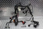 2017 Kawasaki Z125 Pro BR125JHF Main Engine Wiring Harness 26031-1995. Fixed Price $149.99.