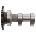 New Hot Intake Camshaft For Suzuki Rmz 250 2010-2017 2200-1IN. Fixed Price $189.44.