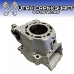 Plated Oem 1995 Kawasaki Cylinder 11005-1751 Barrel 1B3G1. Fixed Price $799.95.