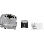 Ktm Genuine Cylinder + Piston - 46230038000. Fixed Price $728.45.