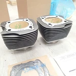 Harley Davidson Screamin Eagle M8 Black Granite Cylinders R/f 16800121/16800123. Fixed Price $405.90.