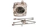 98 Yamaha Timberwolf 4X4 Cylinder Head & YFB250FW. Fixed Price $349.99.
