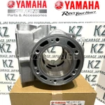 Yamaha Genuine Cylinder YZ250 2003-2021 5UP-11311-21 New. Fixed Price $387.36.