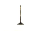 2008-2026 Honda CBR1000RR Oem Intake Valve 14711-MFL-000. Fixed Price $19.95.