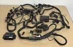 00-01 Kawasaki Ninja ZX12R ZX12000 Engine Main Harness Wire Wiring Set. Fixed Price $165.00.