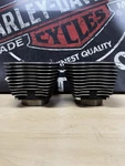 Harley Davidson Twin Cam 88 Cylinders 1659-99 Wrinkle Black. Fixed Price $49.99.