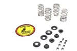 Beehive Valve Spring Kit For Harley-davidson. Fixed Price $167.99.